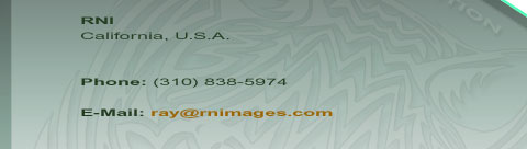RNI address, phone, email