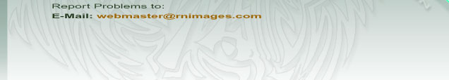 RNI offers photography, illustration, design, and web design services