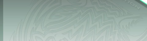 RNI is on top of it, so that your products, identities and campaigns will stand apart and get noticed