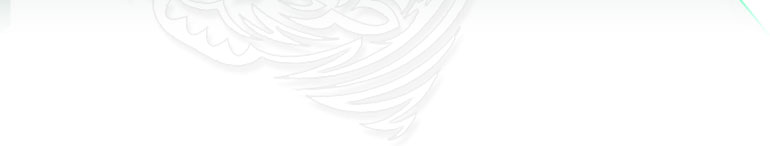 RNI understands advertising and branding... we're on top of it.
