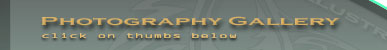 Gallery of thumbnails of commercial photography